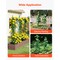 50 Pack 46 in Plastic-Coated Metal Garden Stakes for Tomato Climbing Plants